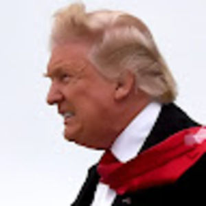 Meet your Posher, Jordyn